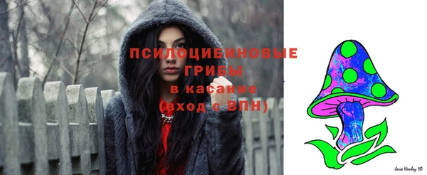 метадон Михайлов