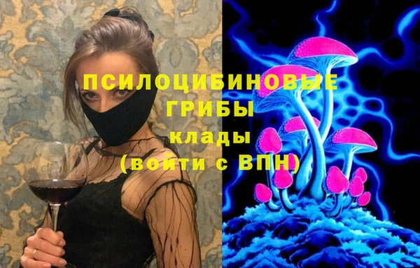 ешки Богданович