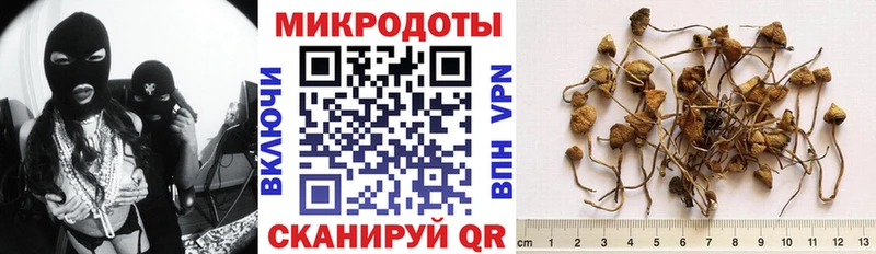 Галлюциногенные грибы Psilocybe  купить   Берёзовка 