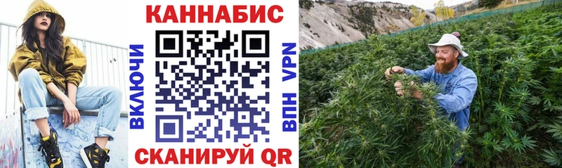 Бошки Шишки индика Берёзовка